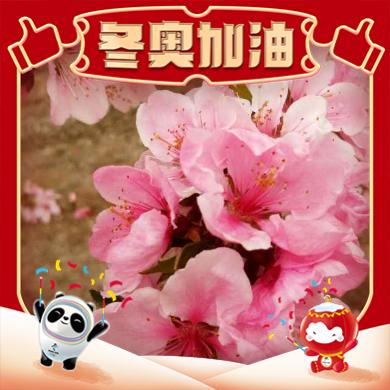 人生如歌