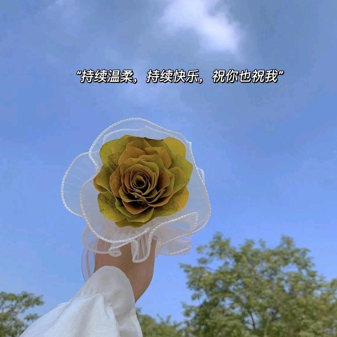໑ღ᭄人生如梦🕊