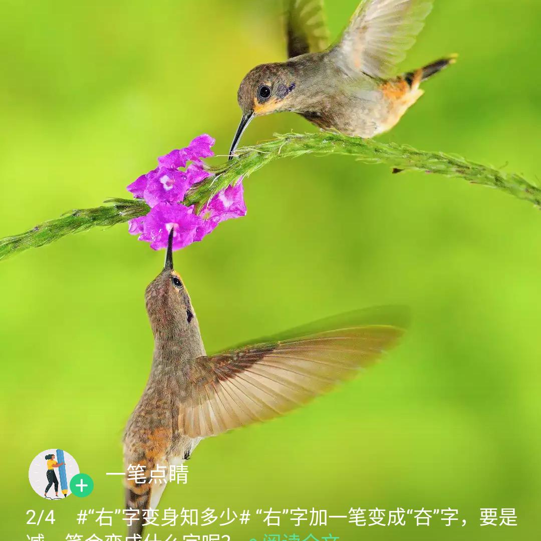 凯露