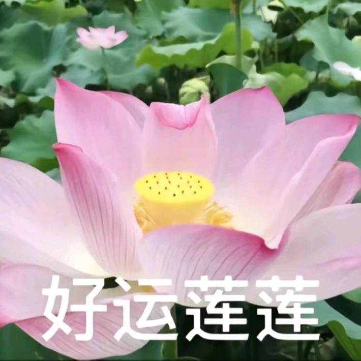 用户7844938800056