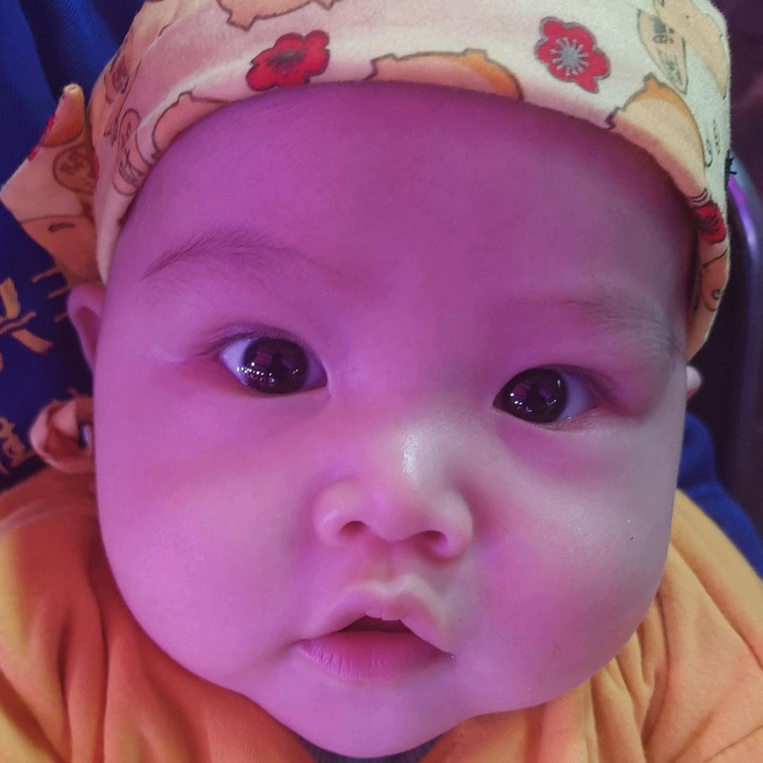 杭州小胖鲜肉配送