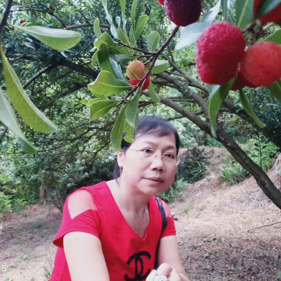青春永恒