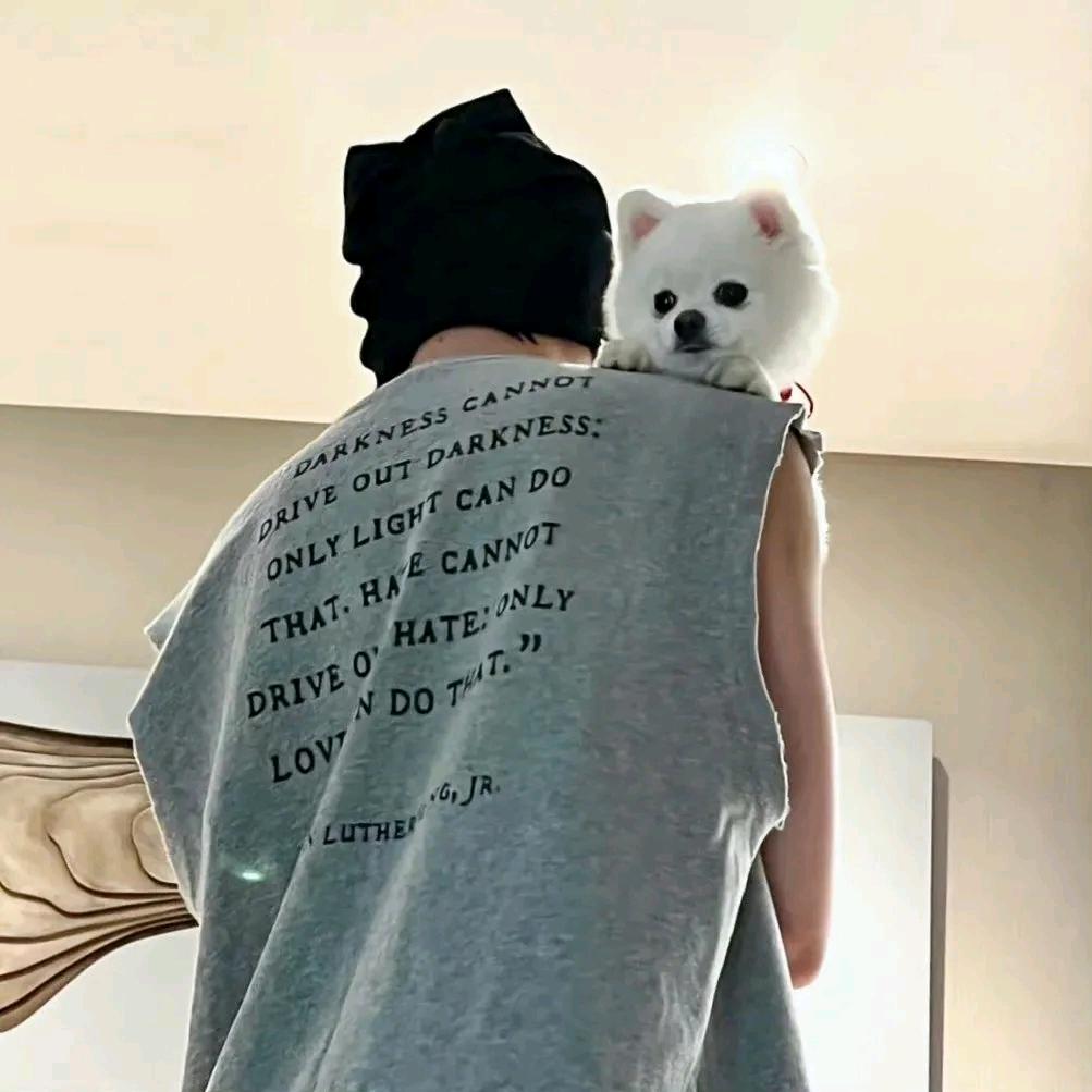 听风🌪️