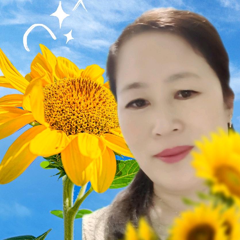羽妈