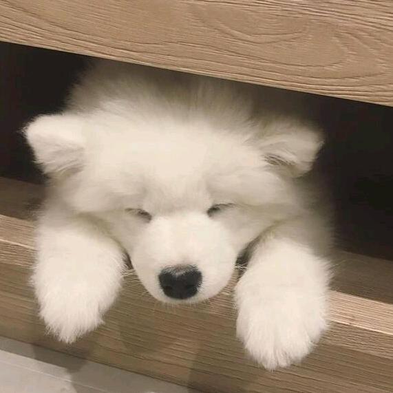 阿齐