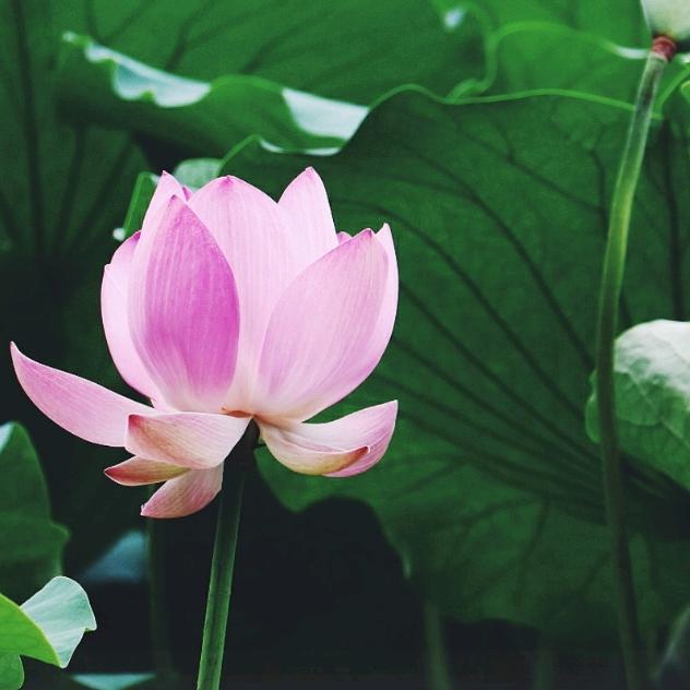 世上难找有缘人