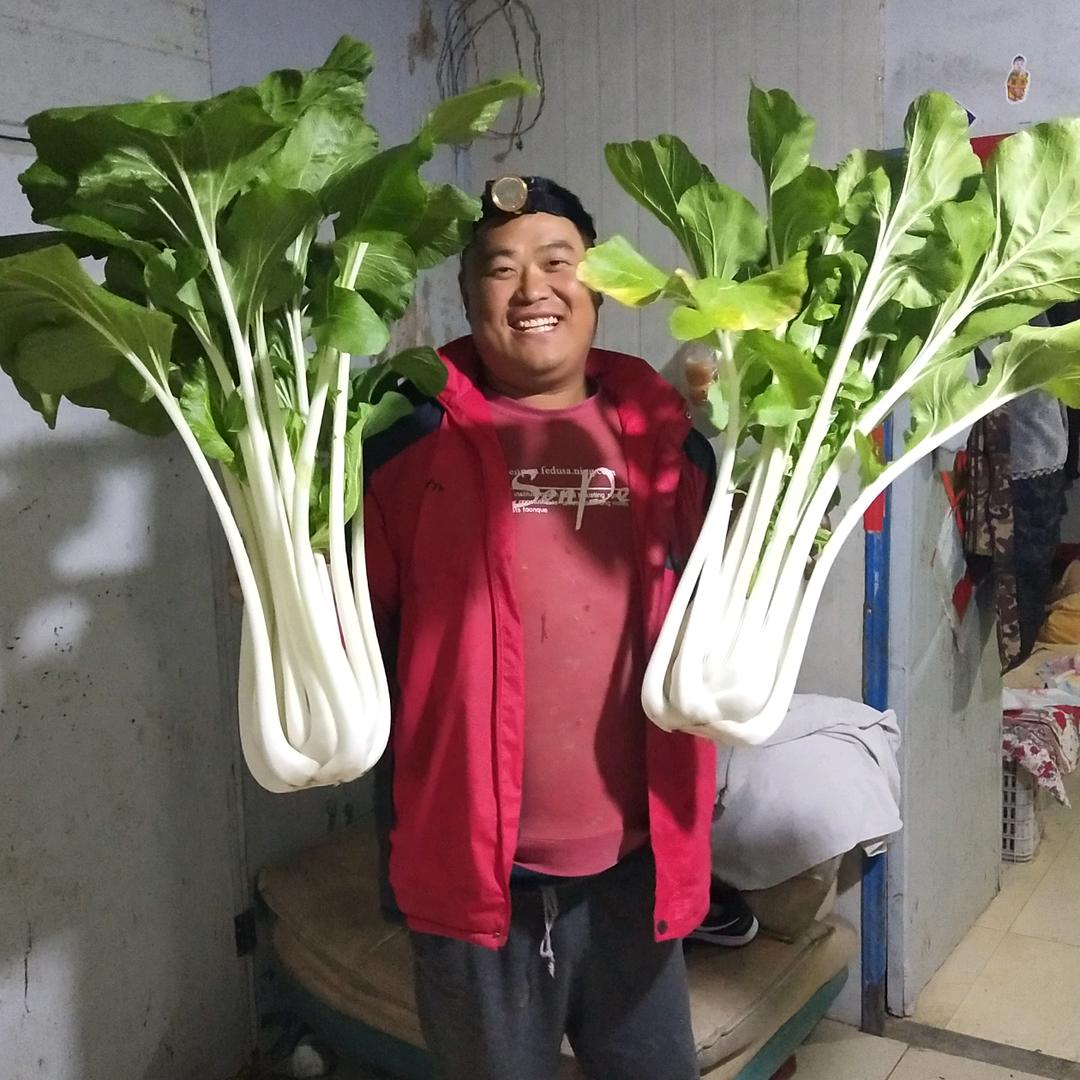 80后种地小哥海洋