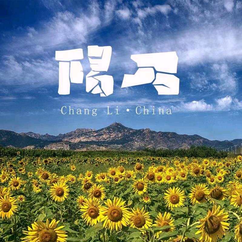 网信昌黎