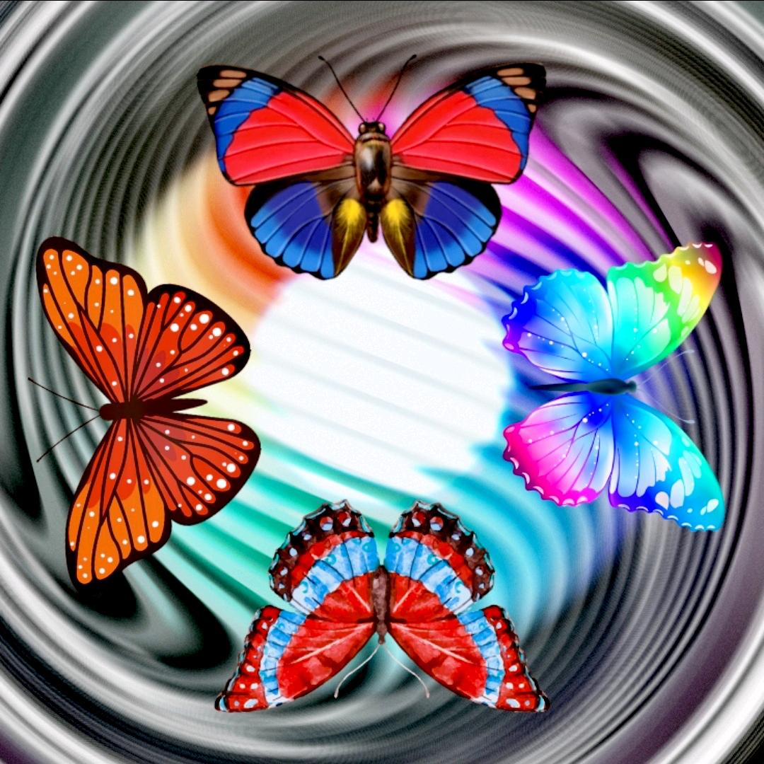 A超凡脱俗🍂🐠 🐠🍂