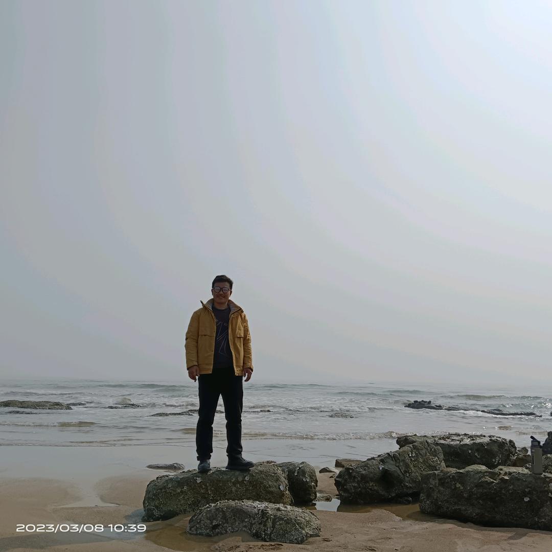 专业贴砖李师傅