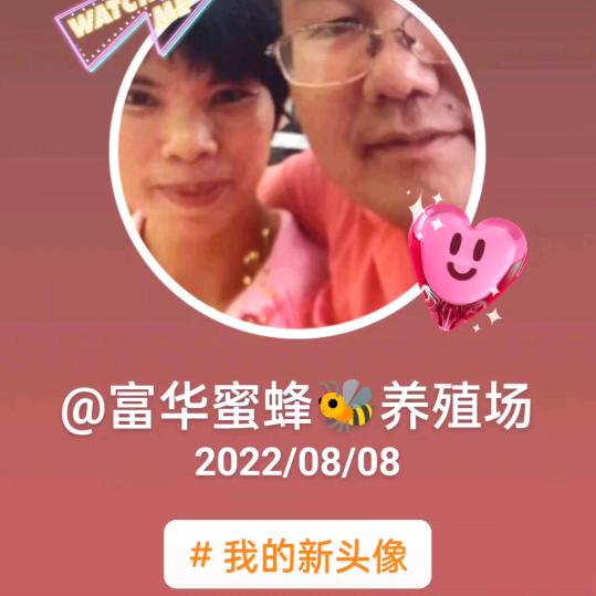 今日世界…蜜蜂场