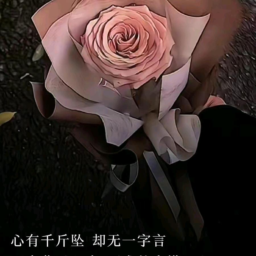 ℋღ᭄心有阳光🍒💕࿐