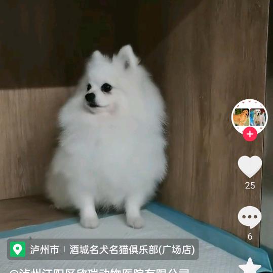笑看