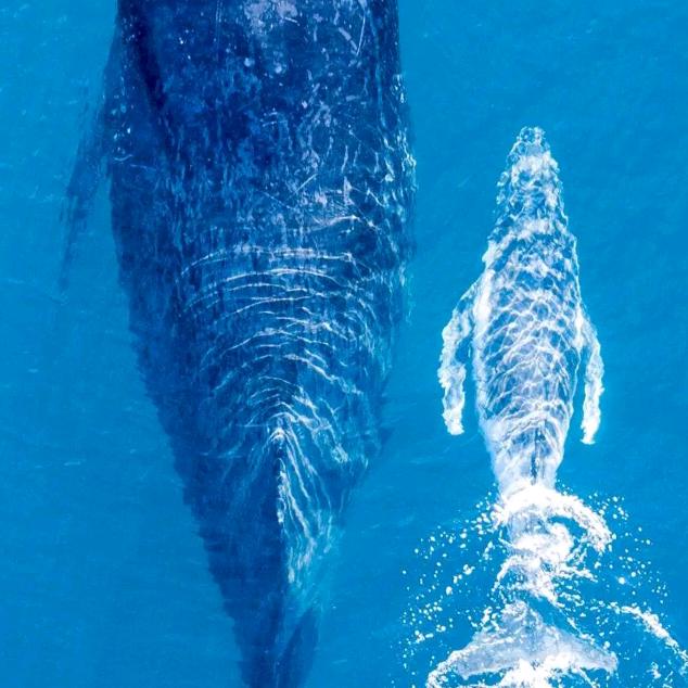 陪我去开心，陪我去看星空。