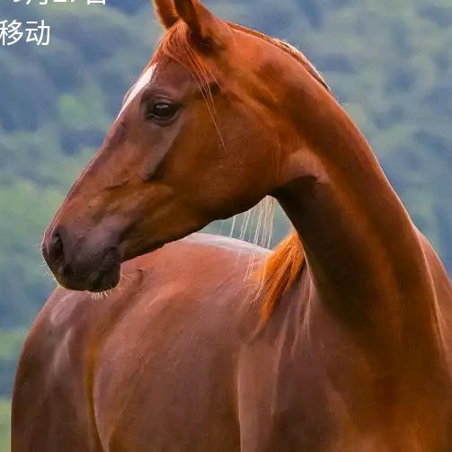 从头来过🍊（易垃罐）