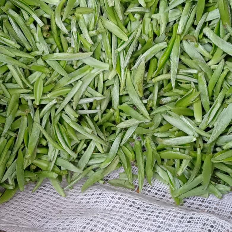 有付出才有回报