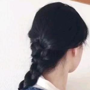 鸽子