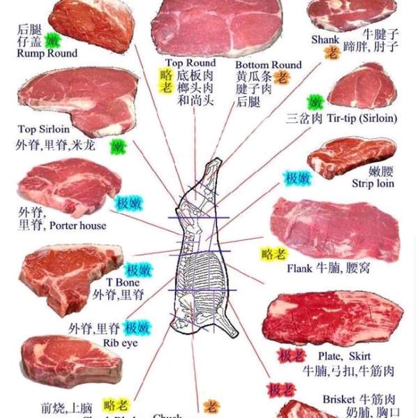 南知智
