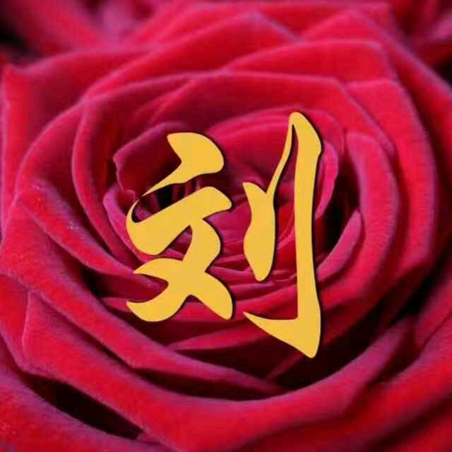 狼行天下