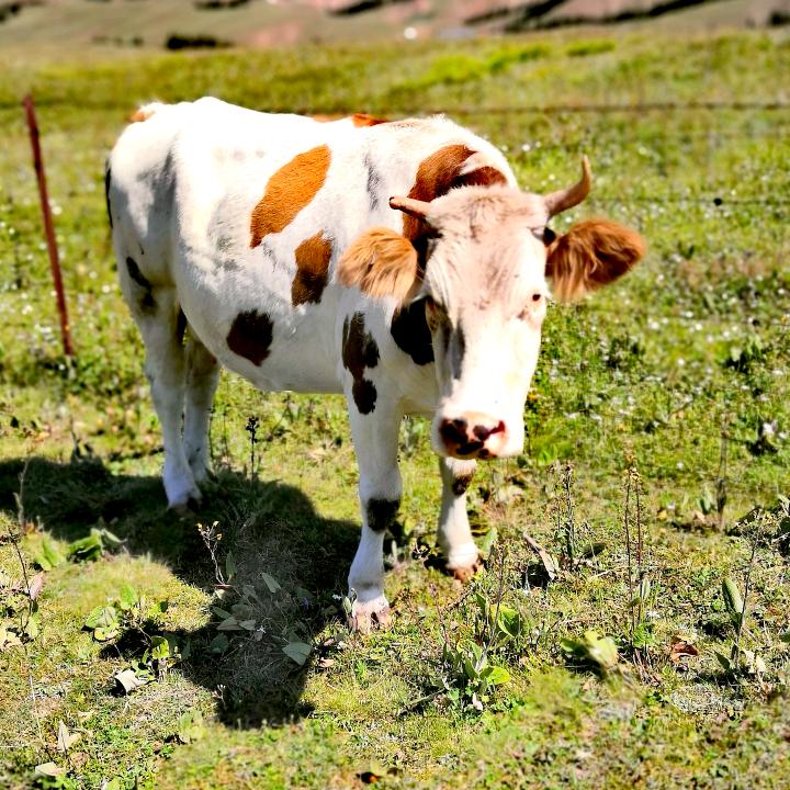 四分附点休止符