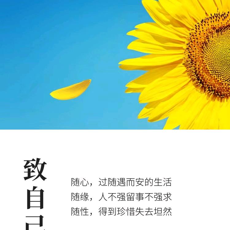 纯