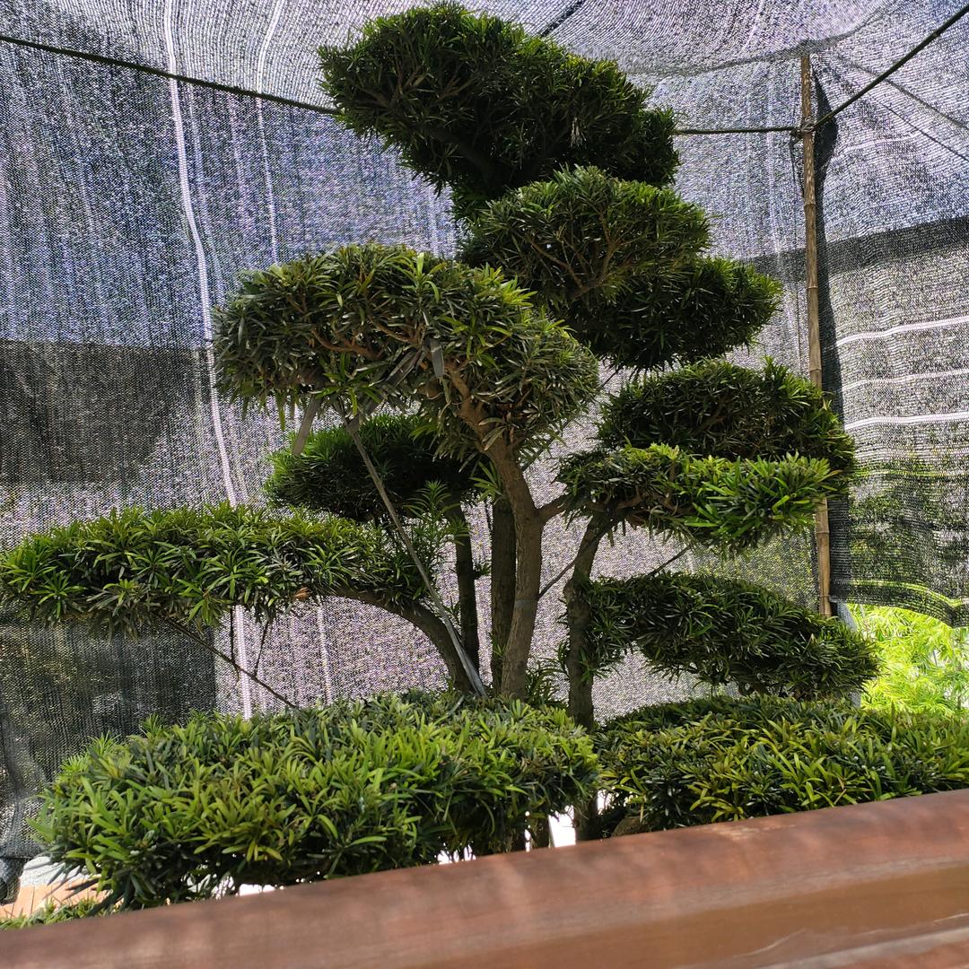 ~平凡人生～