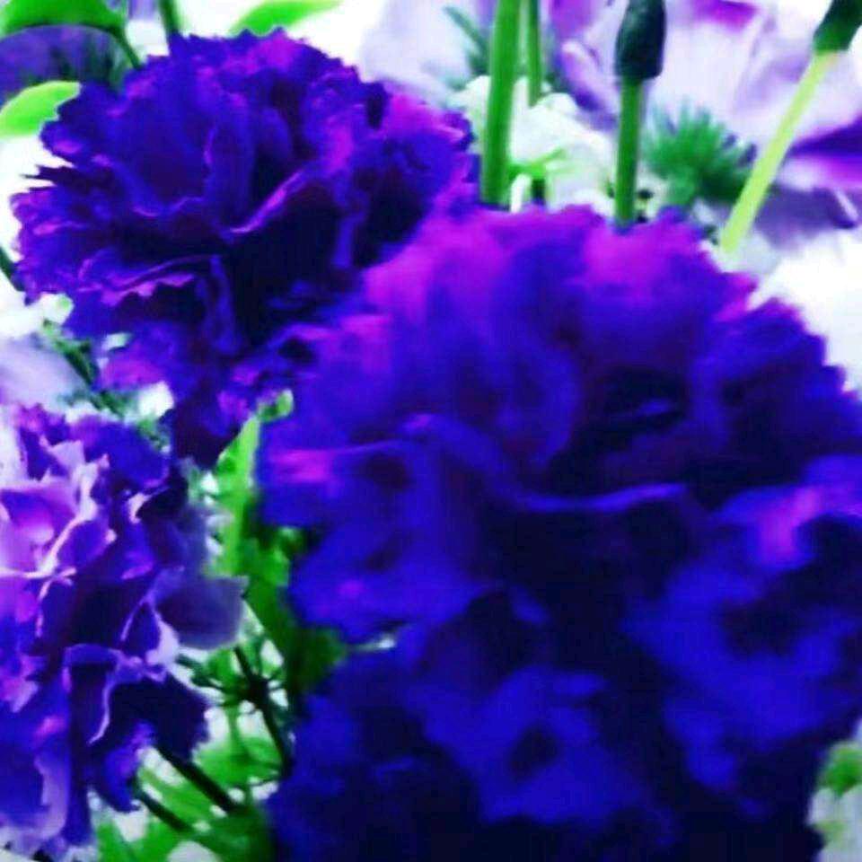 用户3647534263506