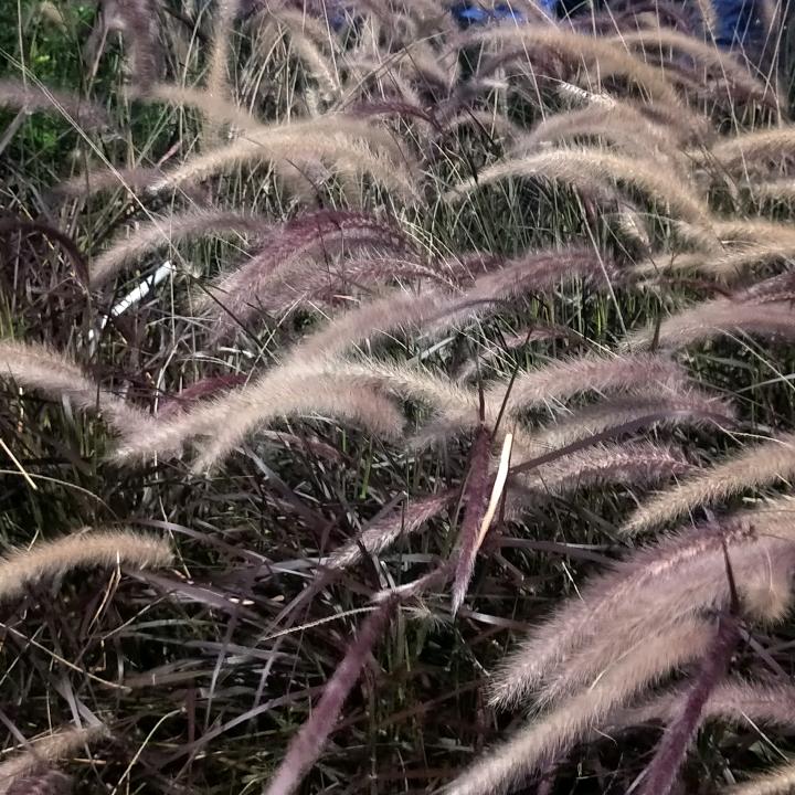 认真过好每一天