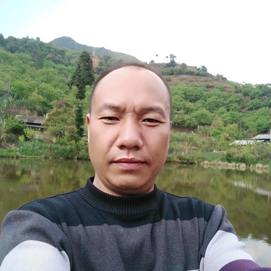 马总 南德利