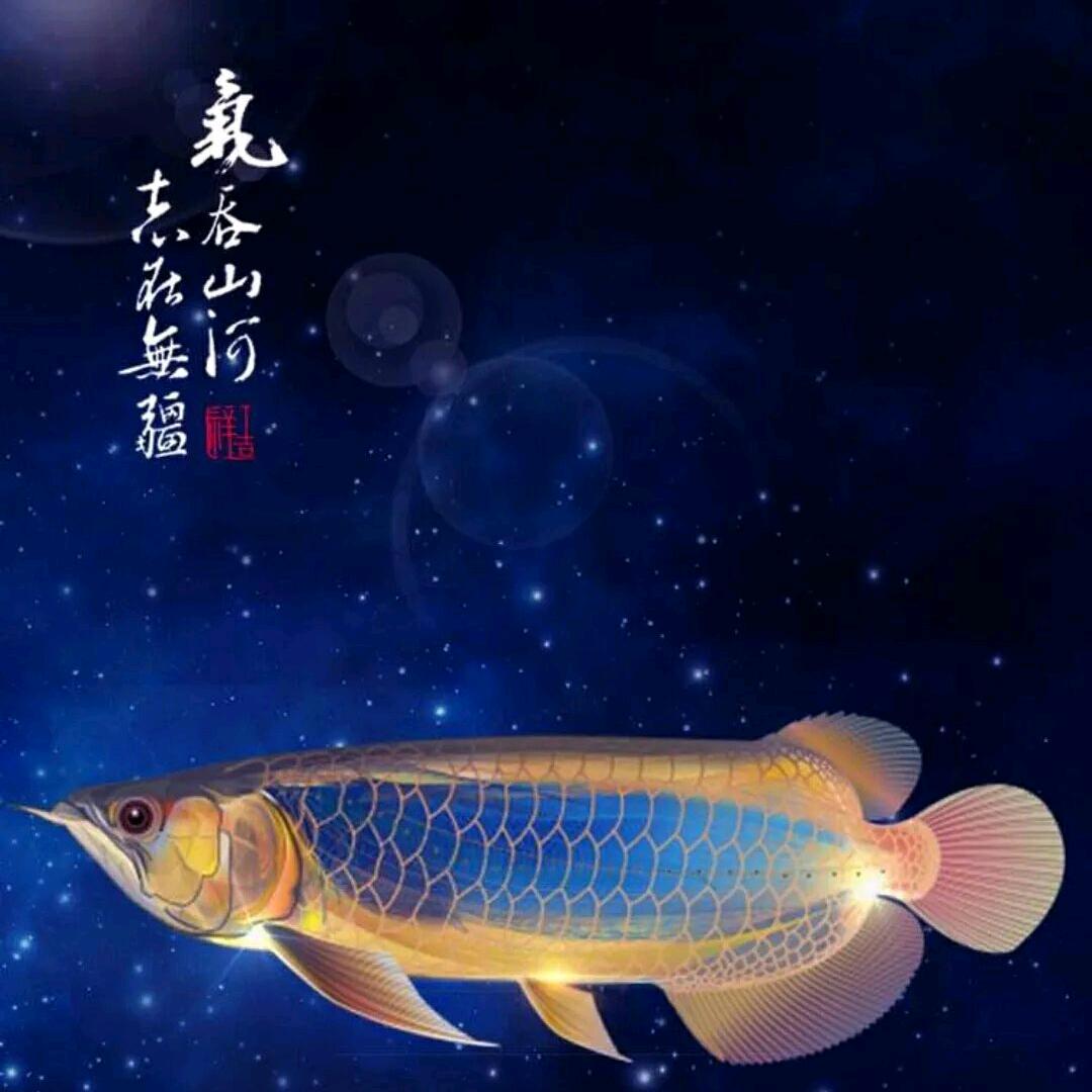☆愚&樂☆