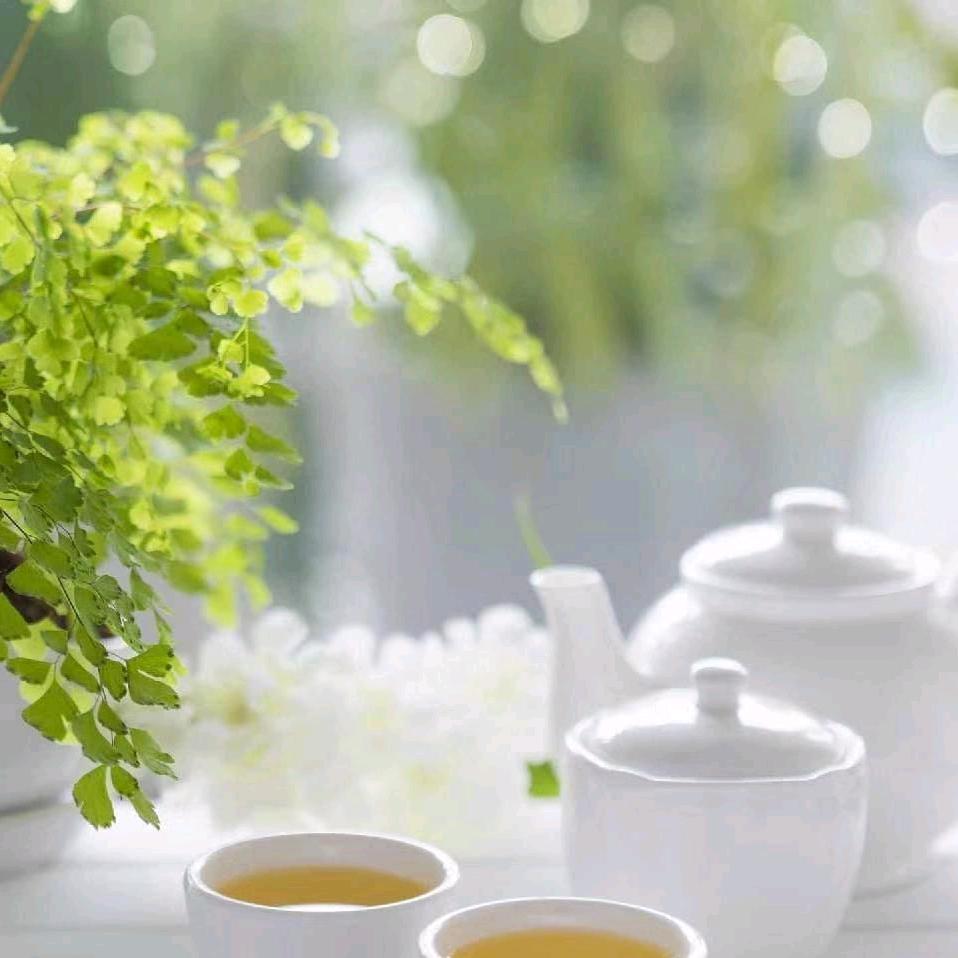 @人生得意须尽欢