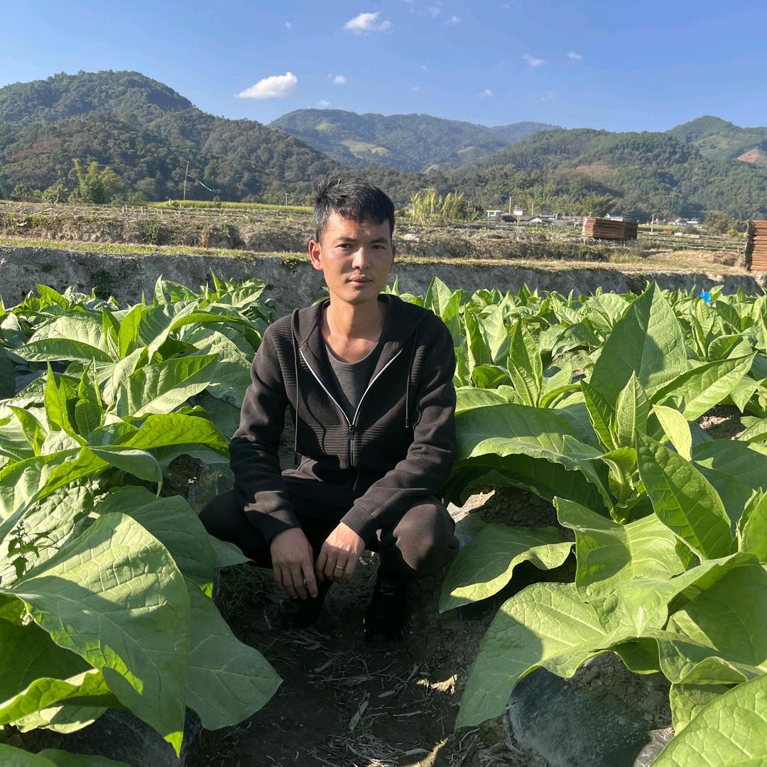 巴鱼哥助农（小号）