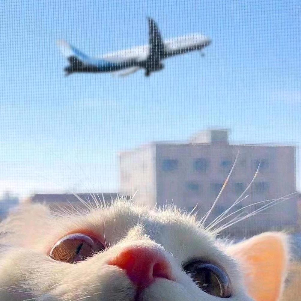 斷