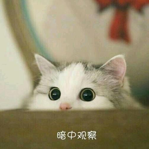 潮鸿服装