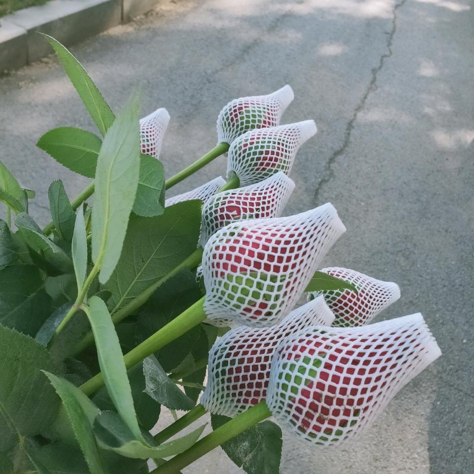 乐友金地琥珀店店员