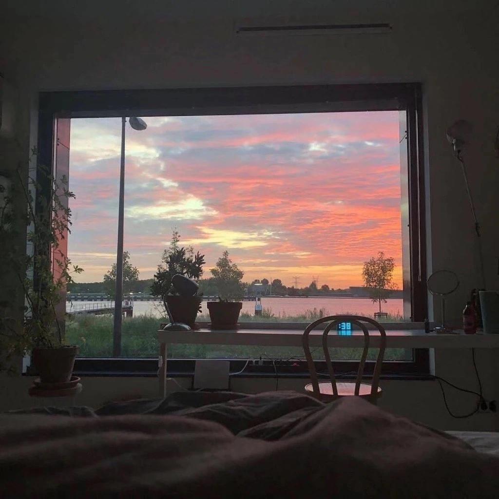 ㅤㅤㅤㅤㅤㅤ