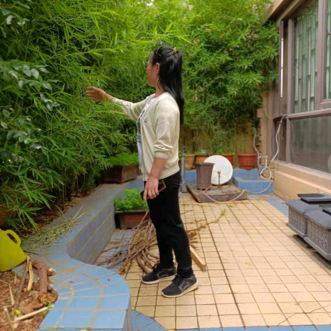 老宋