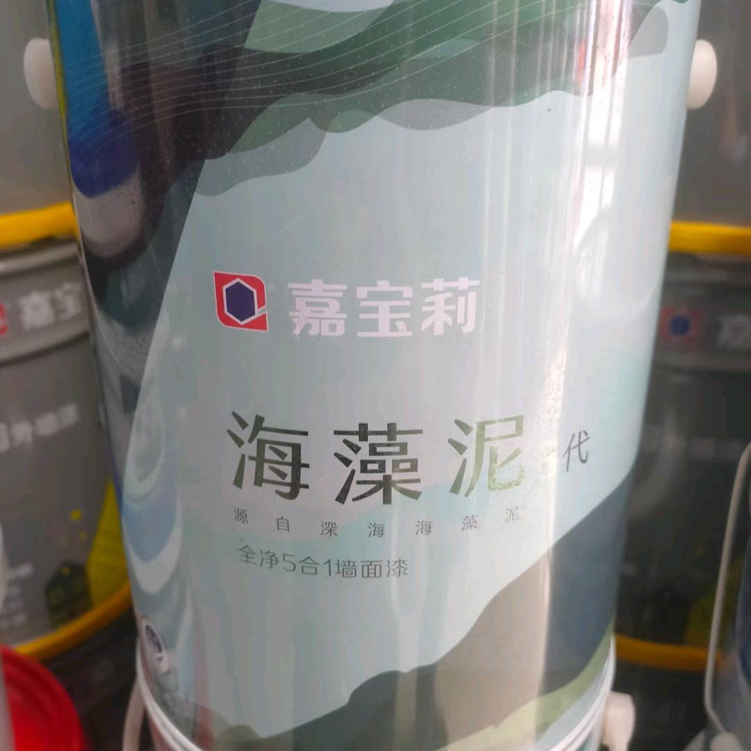 燕子（嘉宝莉漆）