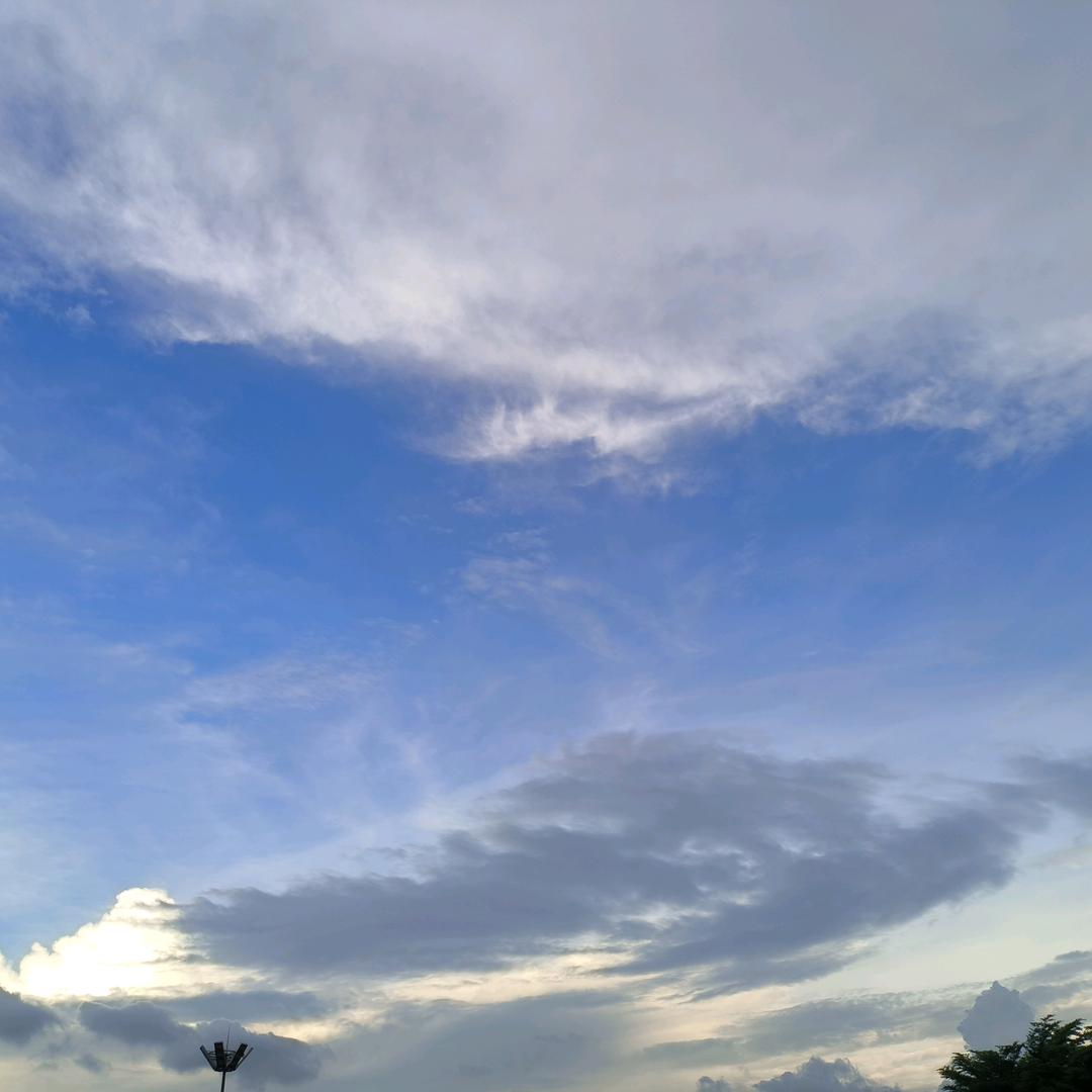 天天向上再向上