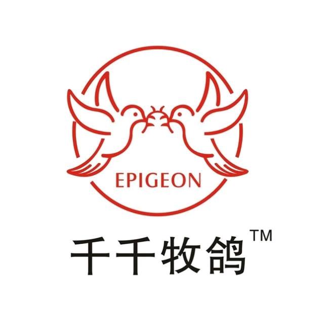 千千牧鸽
