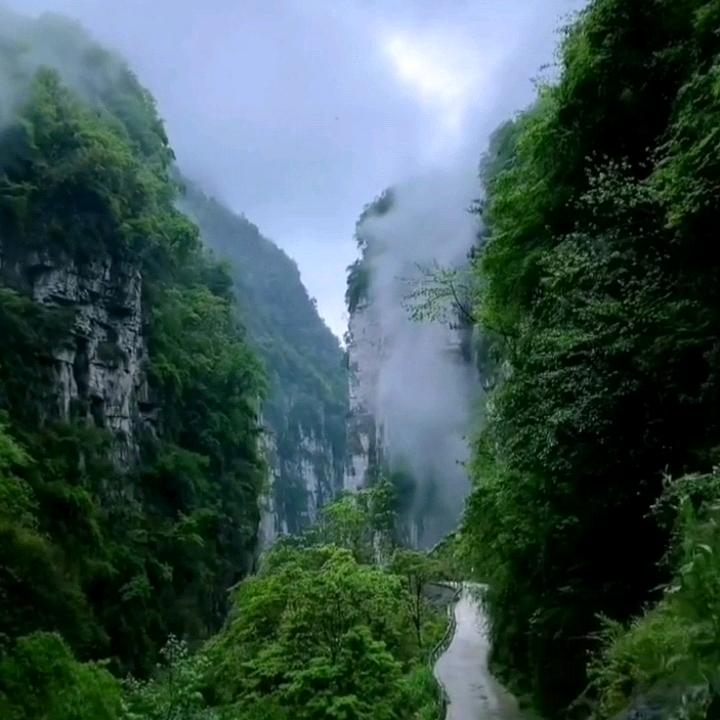 半世琉璃！