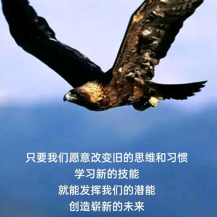 苍鹰 运城-平陆-三门峡拼车