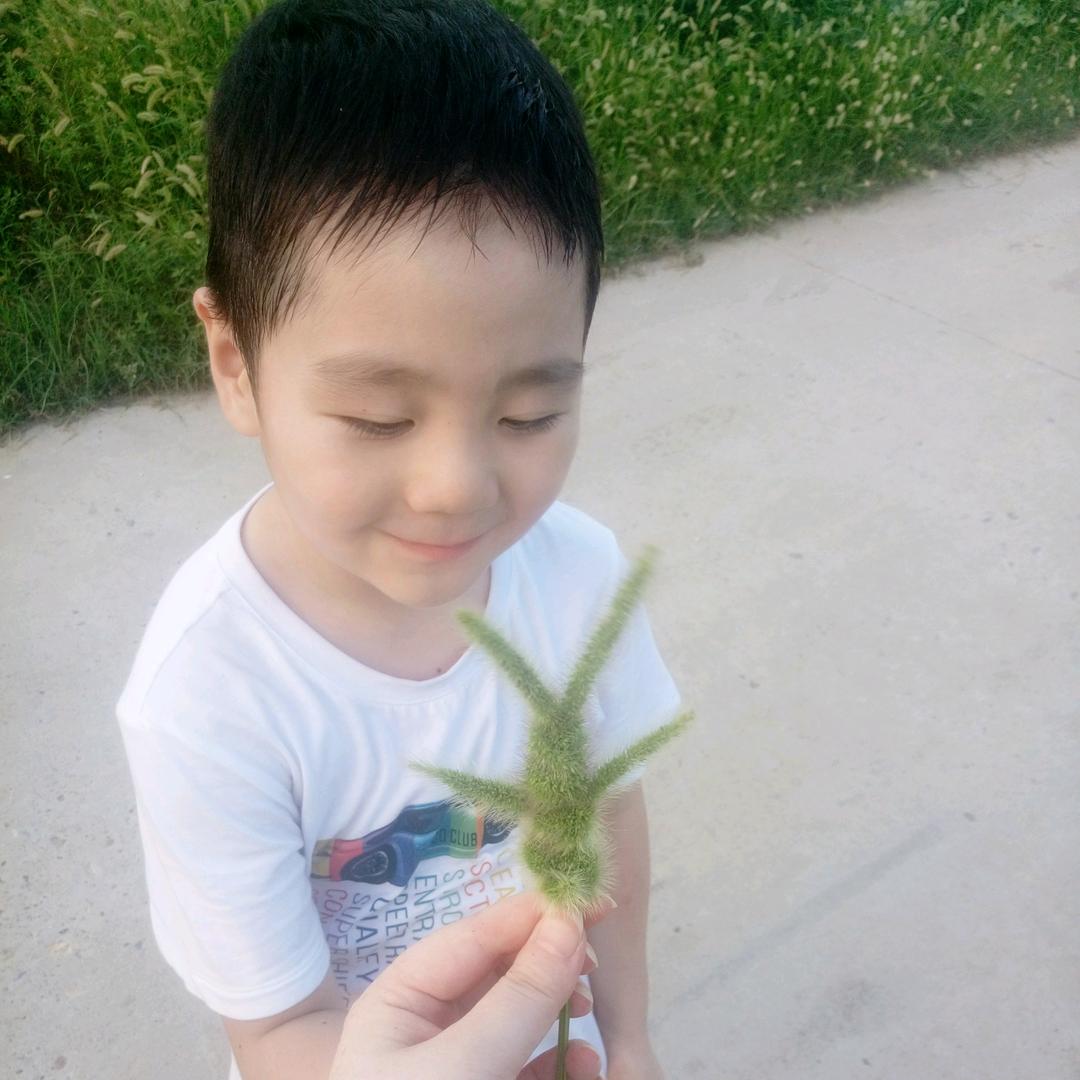 逆风飞翔更适合成长