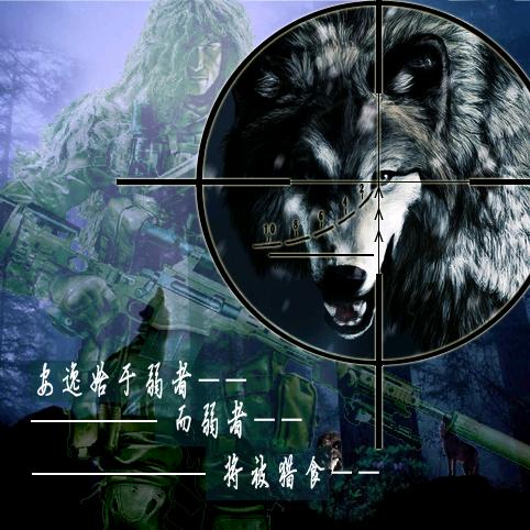 搞花样机模板的
