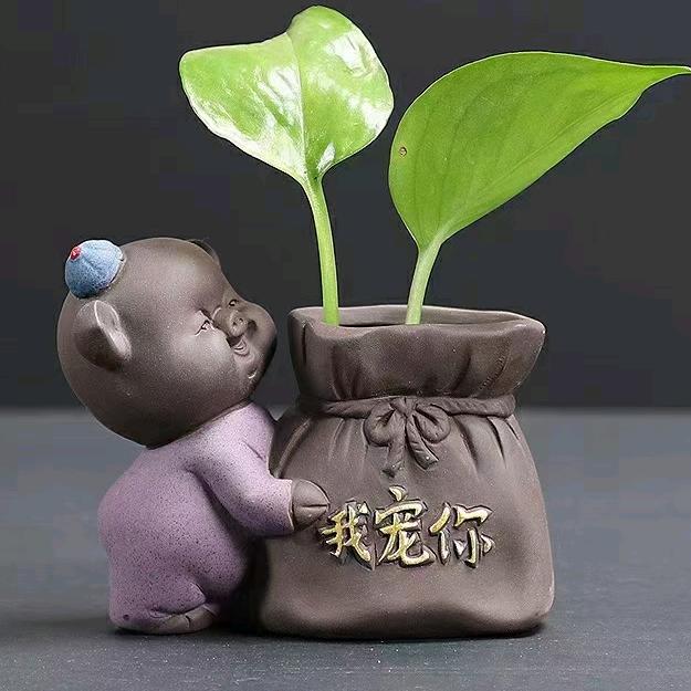 雅轩宝
