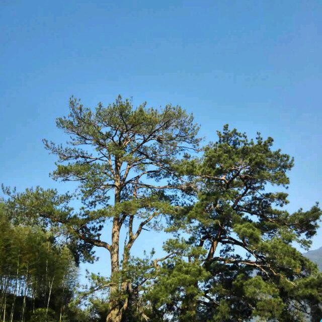 快乐人生，人生美好