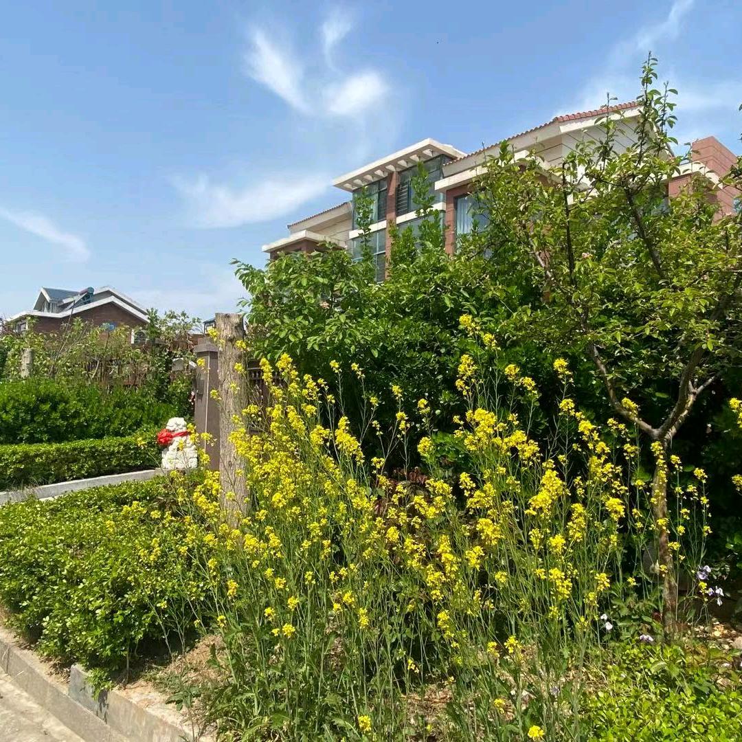 东营开发区壹点空间装饰设计工作室