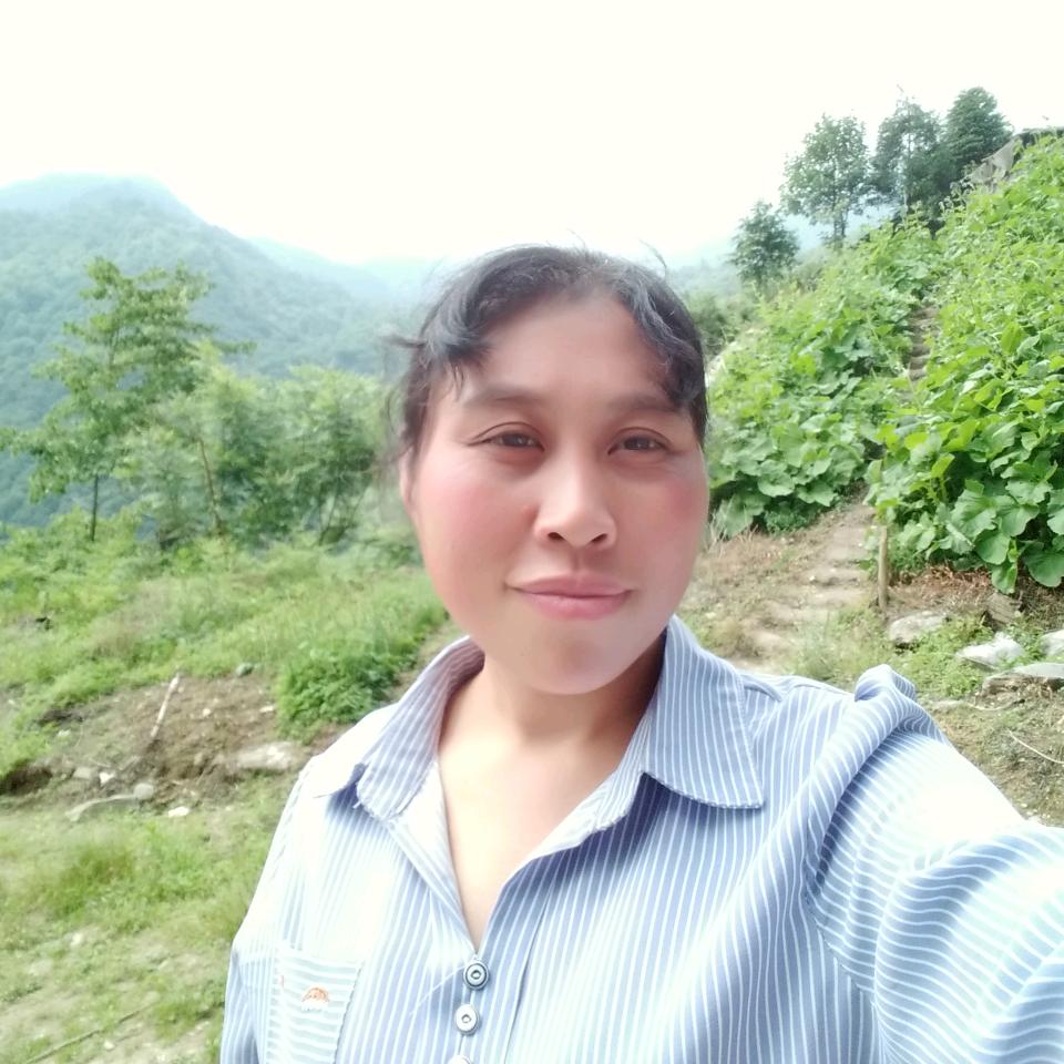 何勇明礼乡铁坪山山药