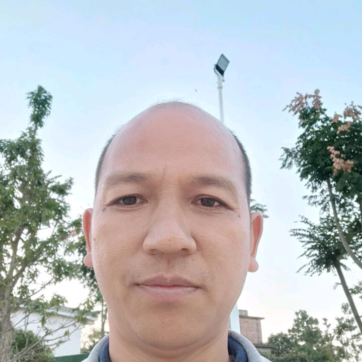 书生