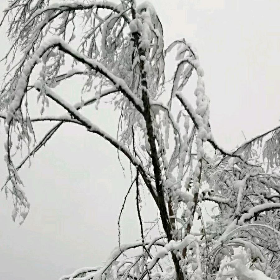 真的一切都是浮云